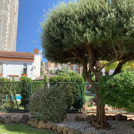 Apartment Gabriella Apartament Benidorm